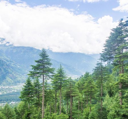 Lamadugh Trek, Manali