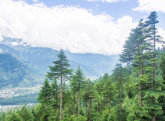 Lamadugh Trek, Manali