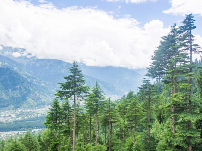 Lamadugh Trek, Manali